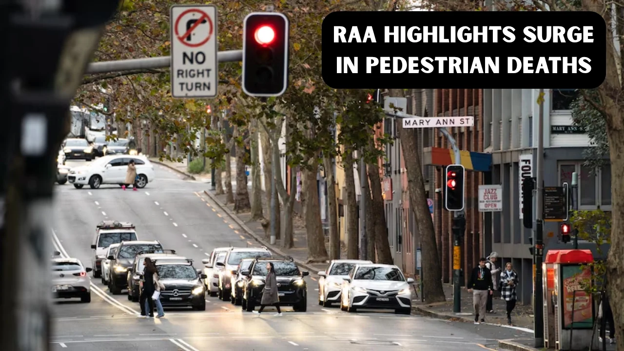 Australia traffic rules under spotlight as RAA highlights surge in pedestrian deaths